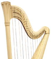 salvi harps